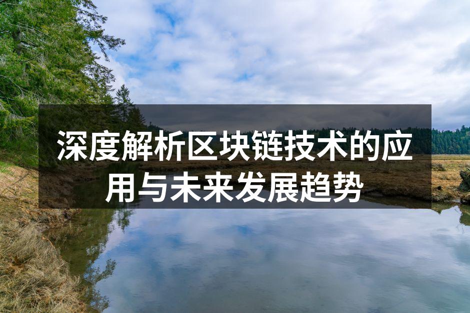 深度解析区块链技术的应用与未来发展趋势