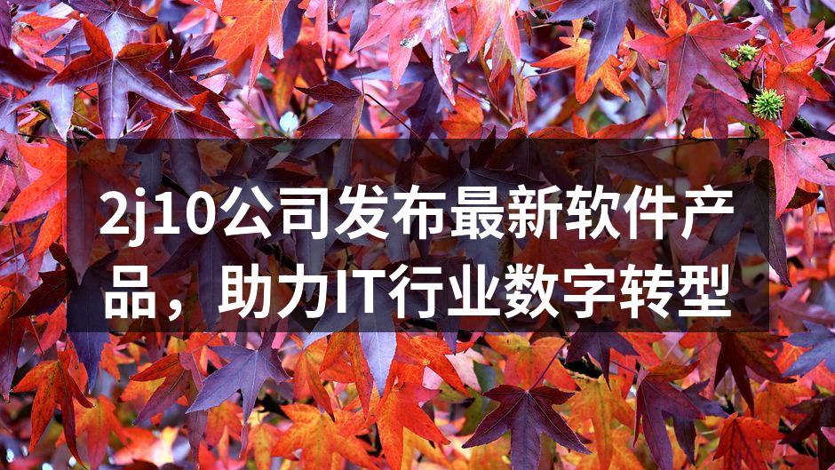2j10公司发布最新软件产品，助力IT行